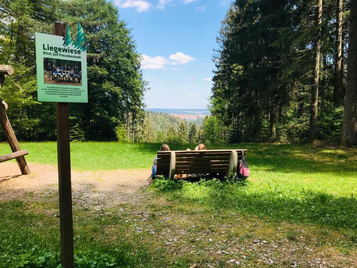 Haus Jenni Im Schwarzwald, 3,5-Zimmer, Grosse Terrasse 弗罗伊登施塔特 外观 照片