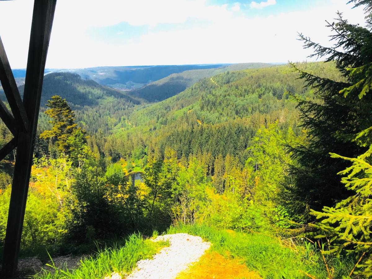 Haus Jenni Im Schwarzwald, 3,5-Zimmer, Grosse Terrasse 弗罗伊登施塔特 外观 照片