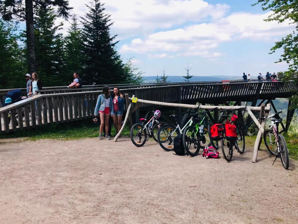 Haus Jenni Im Schwarzwald, 3,5-Zimmer, Grosse Terrasse 弗罗伊登施塔特 外观 照片
