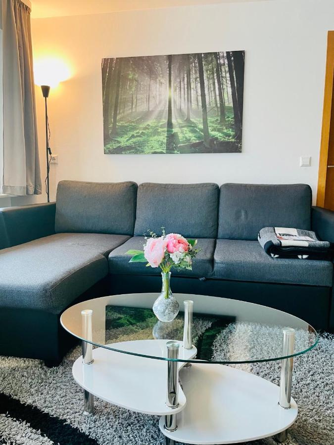 Haus Jenni Im Schwarzwald, 3,5-Zimmer, Grosse Terrasse 弗罗伊登施塔特 外观 照片